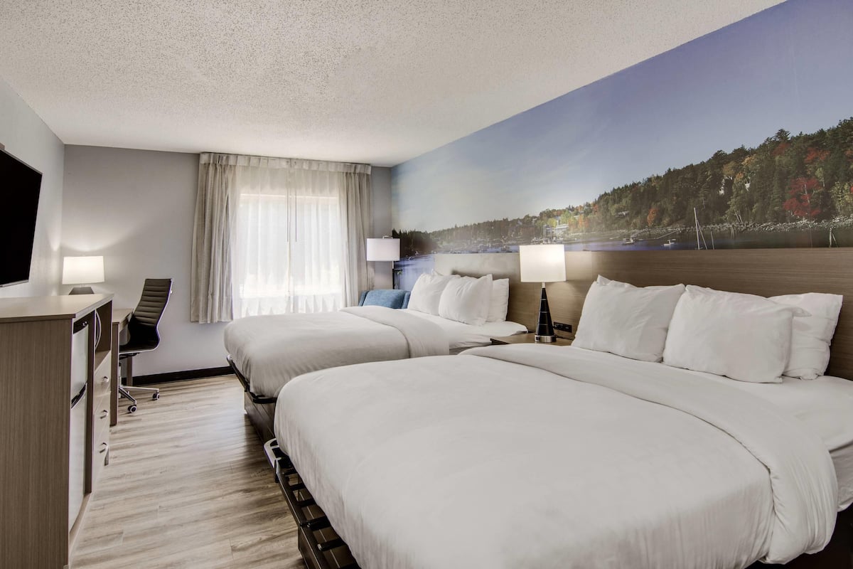 Chambre Standard, 2 grands lits, non-fumeur