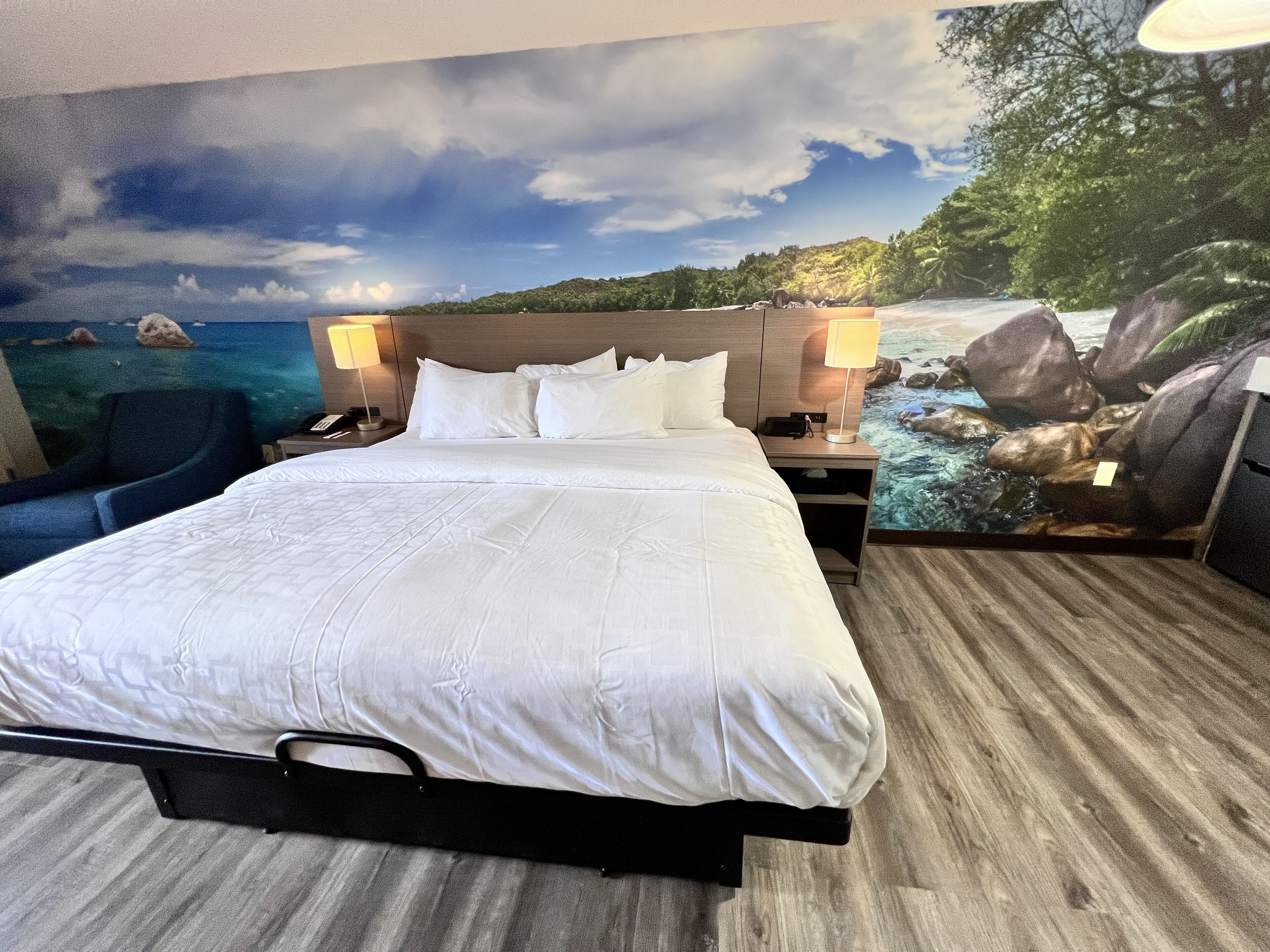 room, 1 king bed, accessible, non smoking (upgrade) | premium bedding, down duvets, desk, laptop workspace