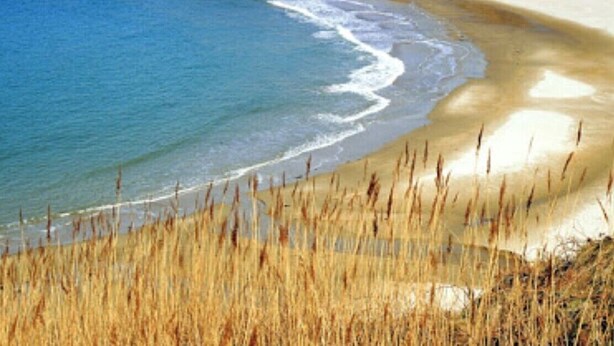 Paisagem costeira com uma praia arenosa e mar azul cristalino.
