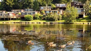 Uma propriedade à beira do lago com várias casas, um cais e patos nadando na água.