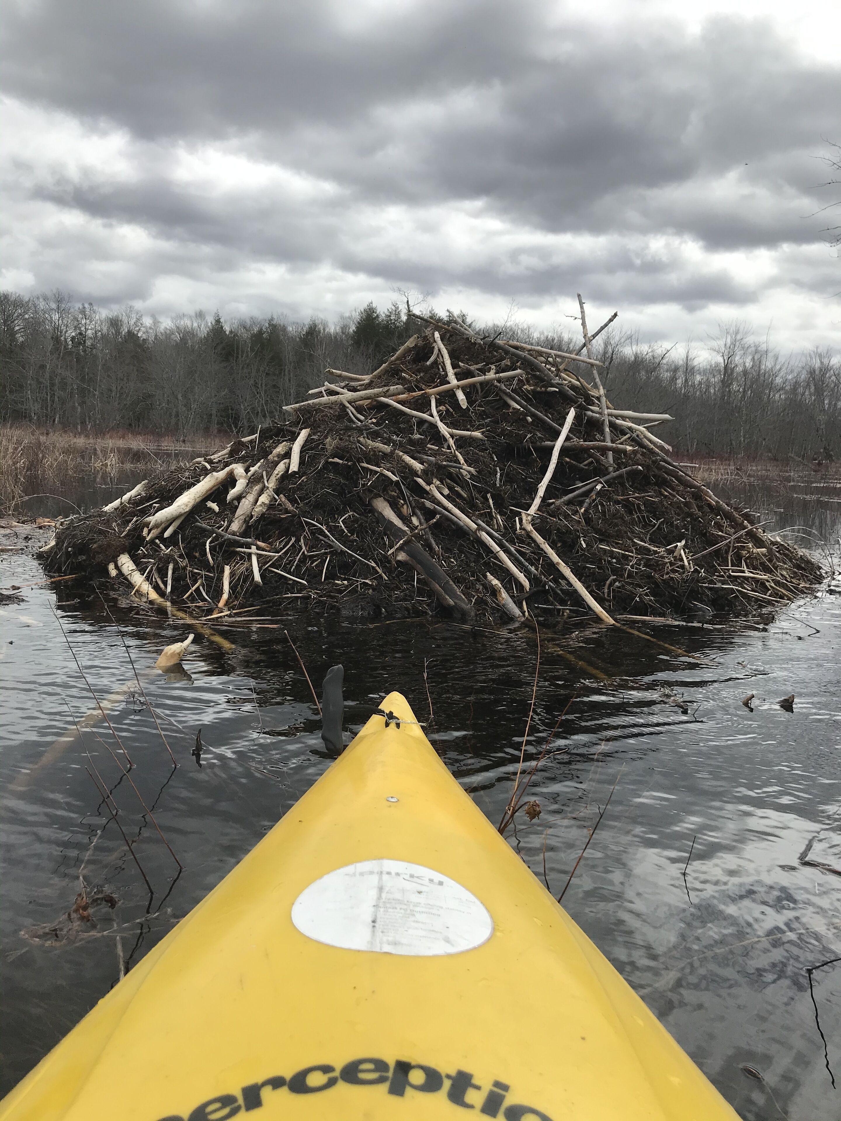 A yellow kayak with the word "perception" on it, floating on water with a pile of sticks and branches in the background.