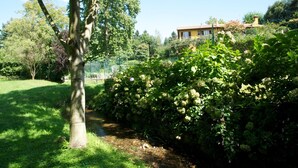 Un jardin luxuriant avec un arbre, une haie et un bâtiment en arrière-plan.