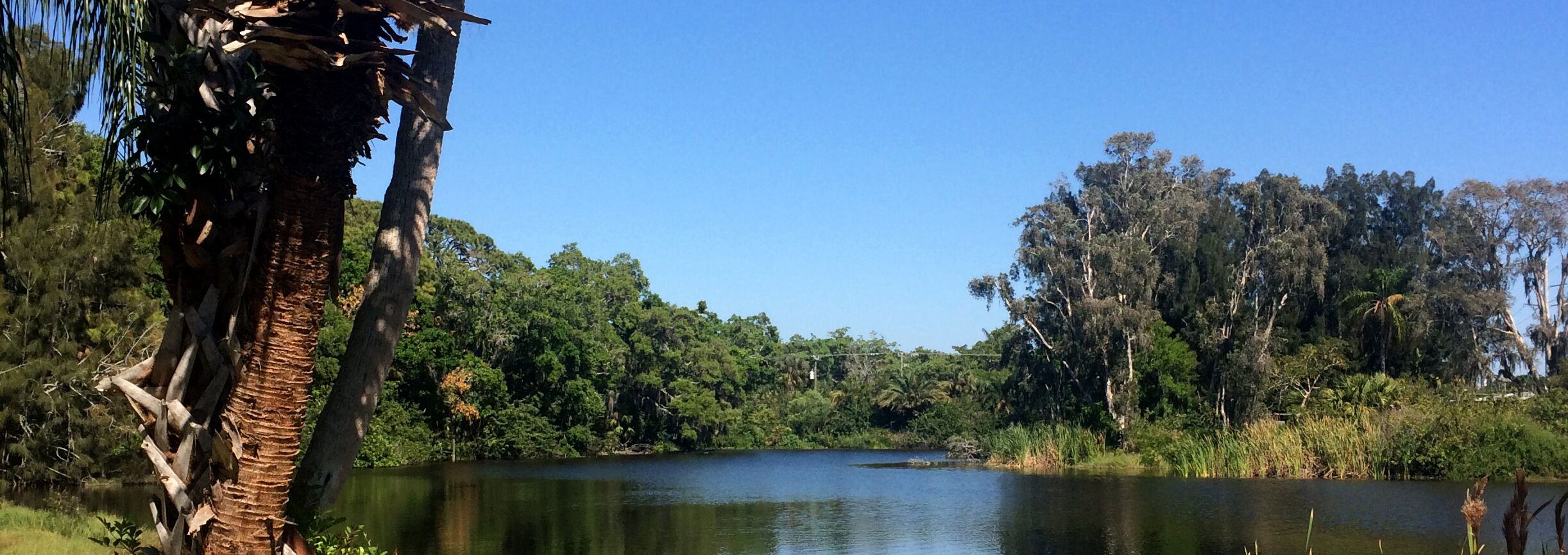 The Lake House in Nokomis: Cosy, Beautiful and Convenient