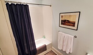 Combined shower/bathtub, hair dryer, towels, toilet paper - Historic Manor House with Beautiful Pool and Mountain Views (Somerset)