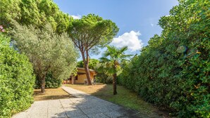 A pathway leading to a building surrounded by dense greenery and trees. - 3 bedroom lovely apartment in Orbetello (Orbetello)