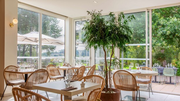 A spacious indoor dining area with large windows, wicker furniture, and a central potted plant. - Best Western Hotel du Lac Dunkerque (Armbouts-Cappel)