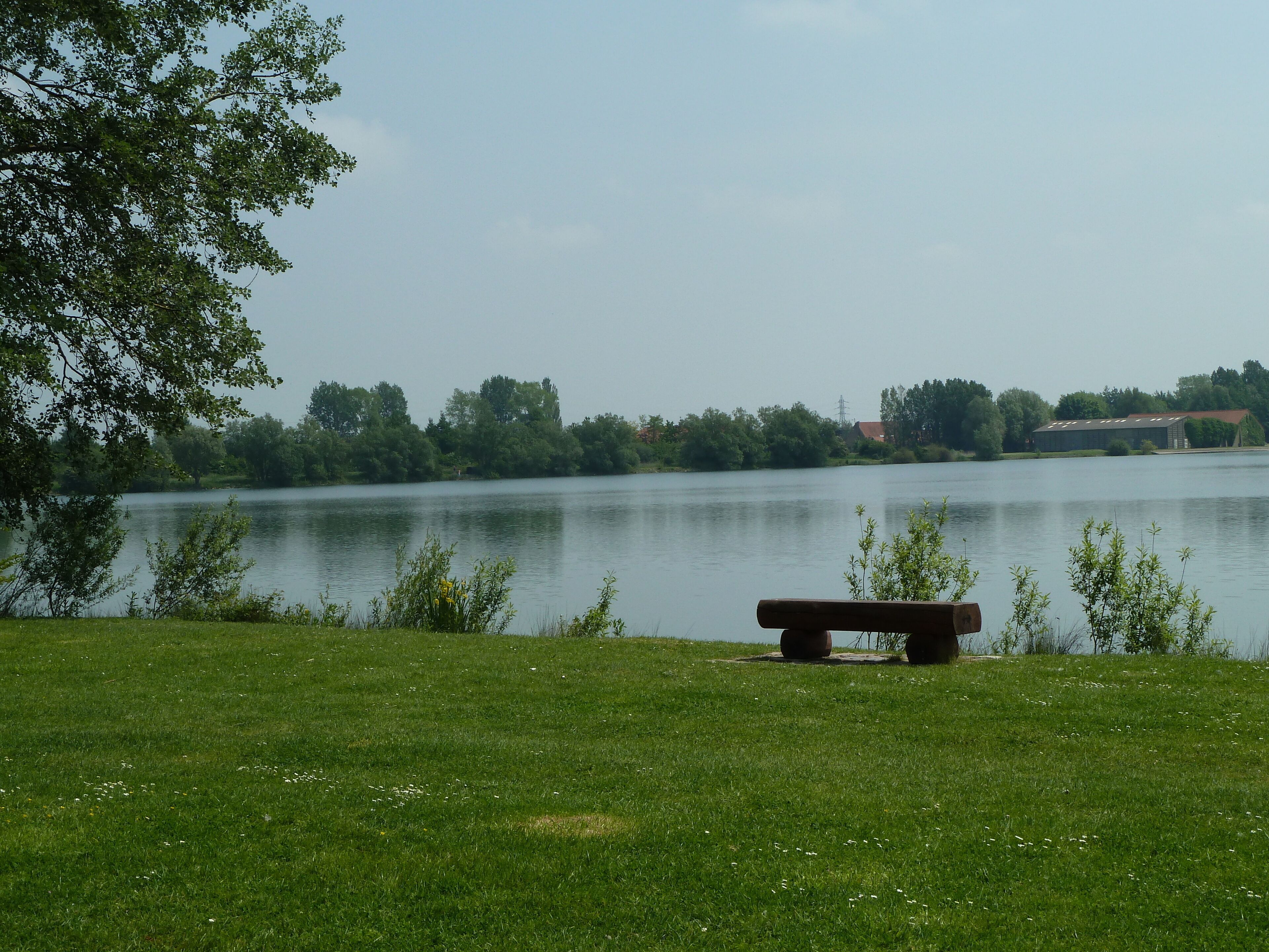 A grassy area with a bench overlooking a calm lake, surrounded by trees and a distant building.