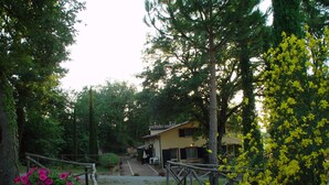 Eine rustikale Holzbrücke führt zu einem Haus, umgeben von üppigem Grün und blühenden Bäumen.