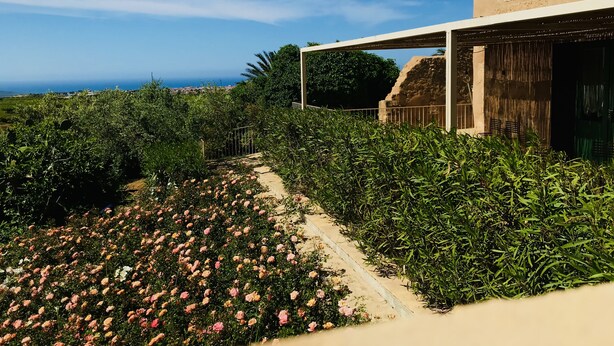 A garden with a pathway leading to a building with a covered outdoor area. - Graffeo Countryside Sea View Homes in Menfi in Sicily - Casa delle Rose -  (Menfi)