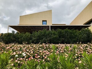 Property grounds - Graffeo Countryside Sea View Homes in Menfi in Sicily - Casa delle Rose -  (Menfi)