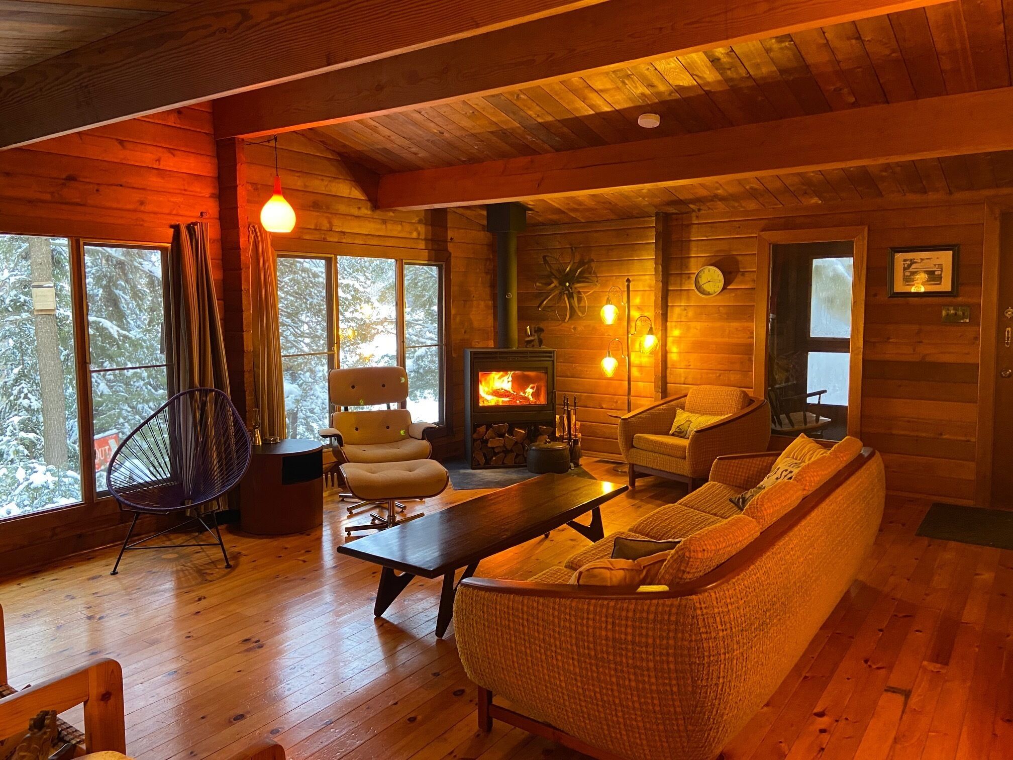 電視、電子遊戲、DVD 播放機、書籍