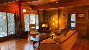 Televisión, videojuegos, reproductor de DVD y libros