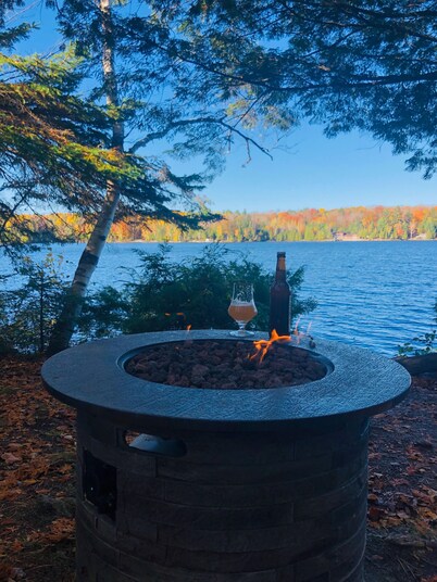 Escape to a private cabin with 500ft of clean waterfront