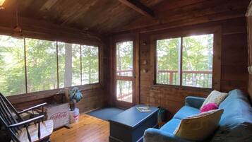 TV, video games, DVD player, books