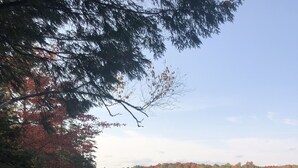 Een rustig meer, omringd door bomen met herfstkleuren.