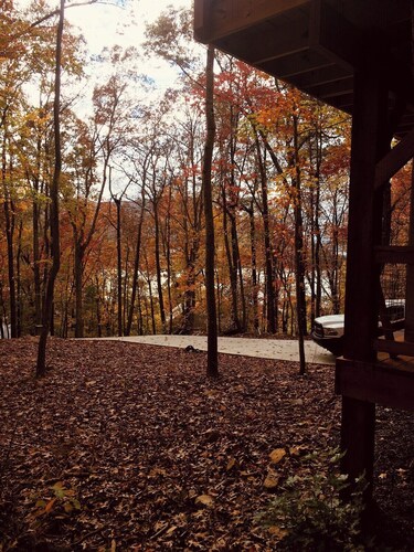 Barn Owl Inn Treehouse - Private Hot Tub