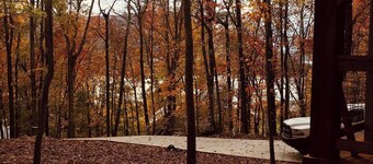 Barn Owl Inn Treehouse - Private Hot Tub