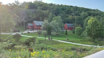 Áreas de la propiedad