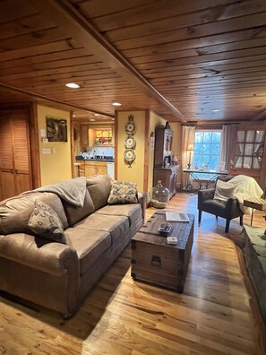 Smart TV, fireplace, DVD player, books