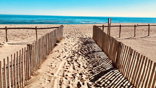 Una playa arenosa con cercas de madera y una vista despejada del océano.