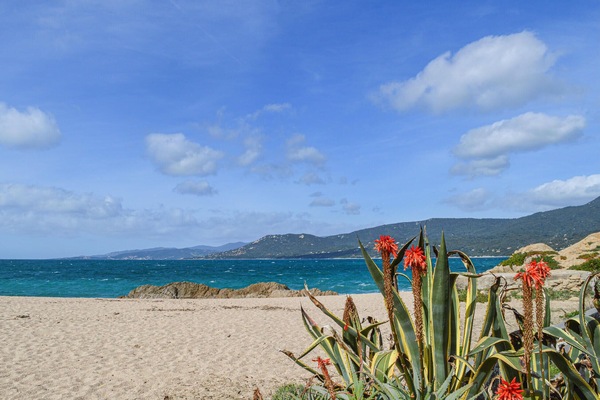 Playa en los alrededores y pesca
