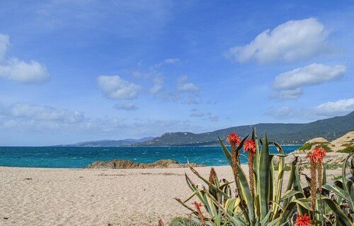 Bel appartement 1 chambre à Propriano
