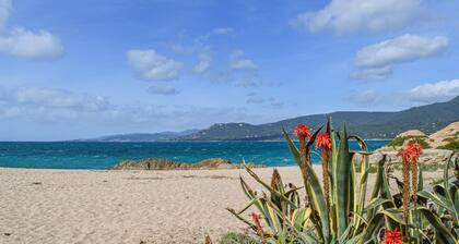 1 bedroom lovely apartment in Propriano