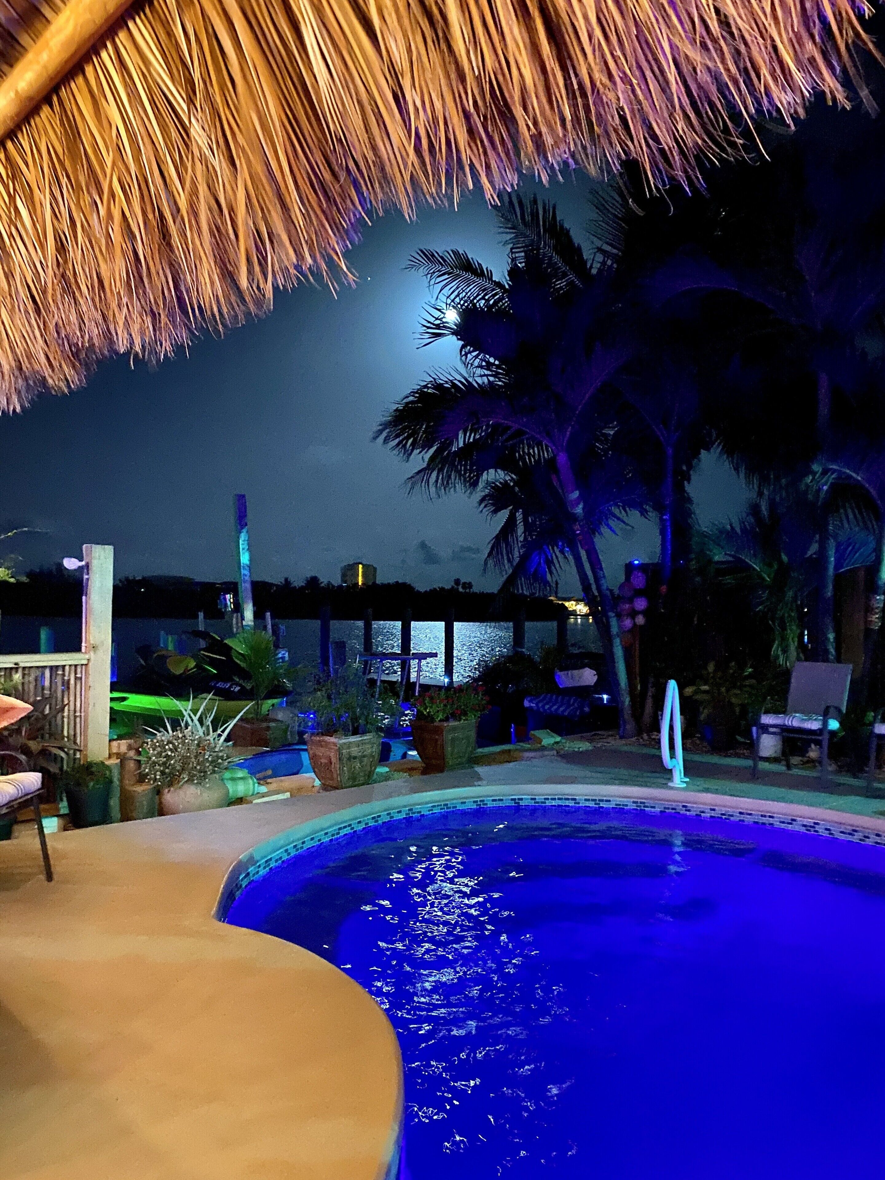 A pool area with a thatched roof, palm trees, and a view of the water.