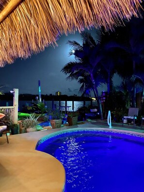 Outdoor pool, a heated pool - CLEAR water views @Tiki haven! Quick ocean access, Pool, HotTub, FUN! FREE ICE! (Key Colony Beach)