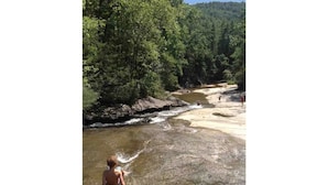 Eine natürliche Landschaft mit einem Fluss, einem Sandstrand und einem dichten Wald im Hintergrund.