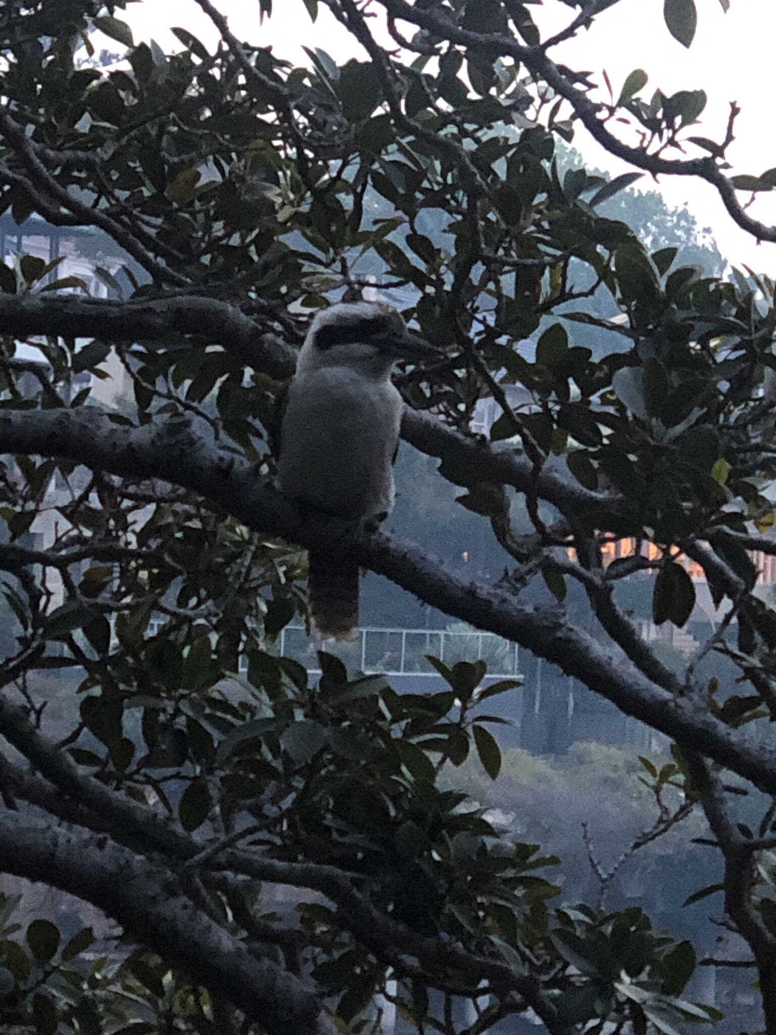 Picturesque apartment by the beach in Parsley Bay — image 19