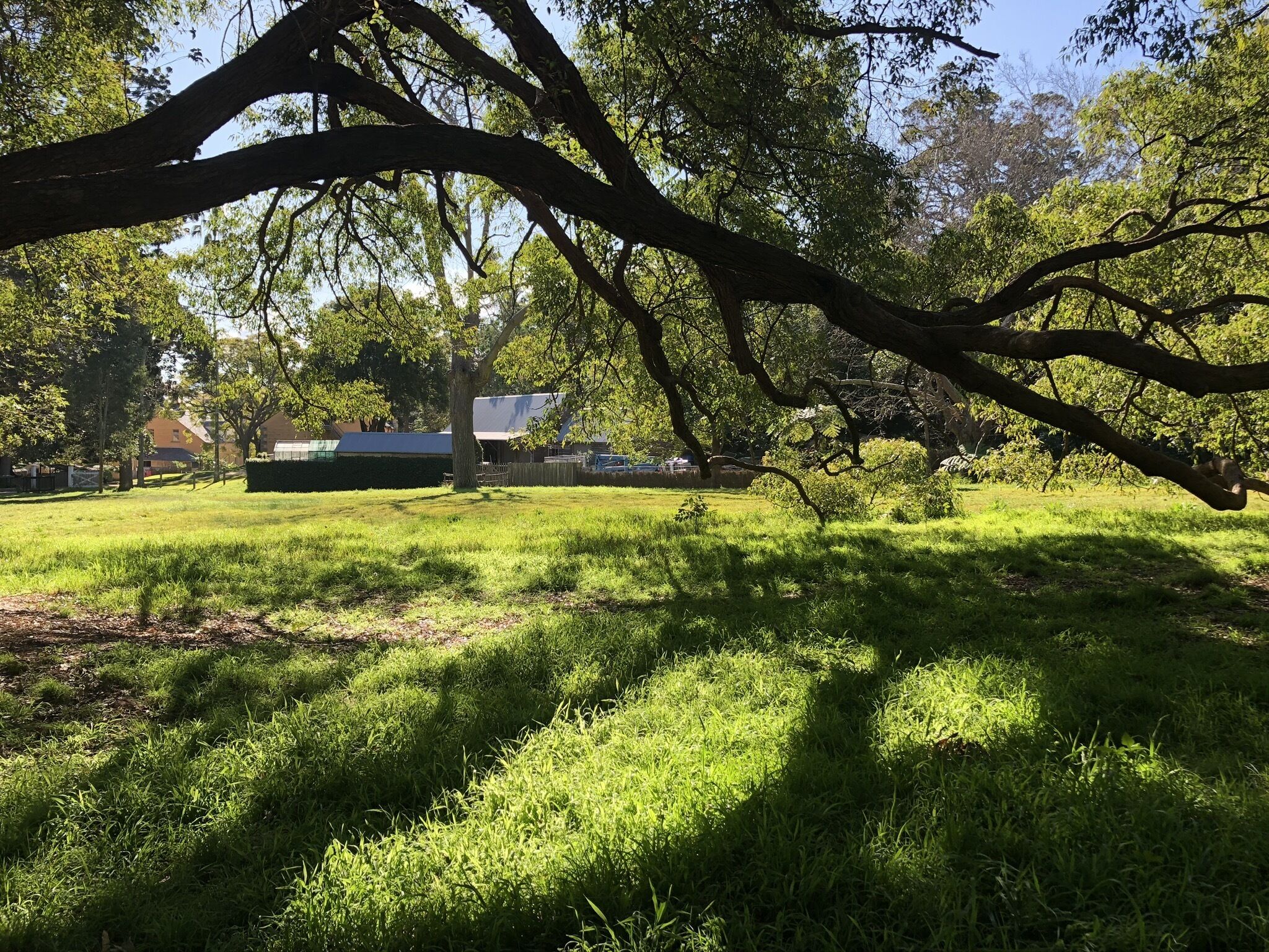 Picturesque apartment by the beach in Parsley Bay — image 24