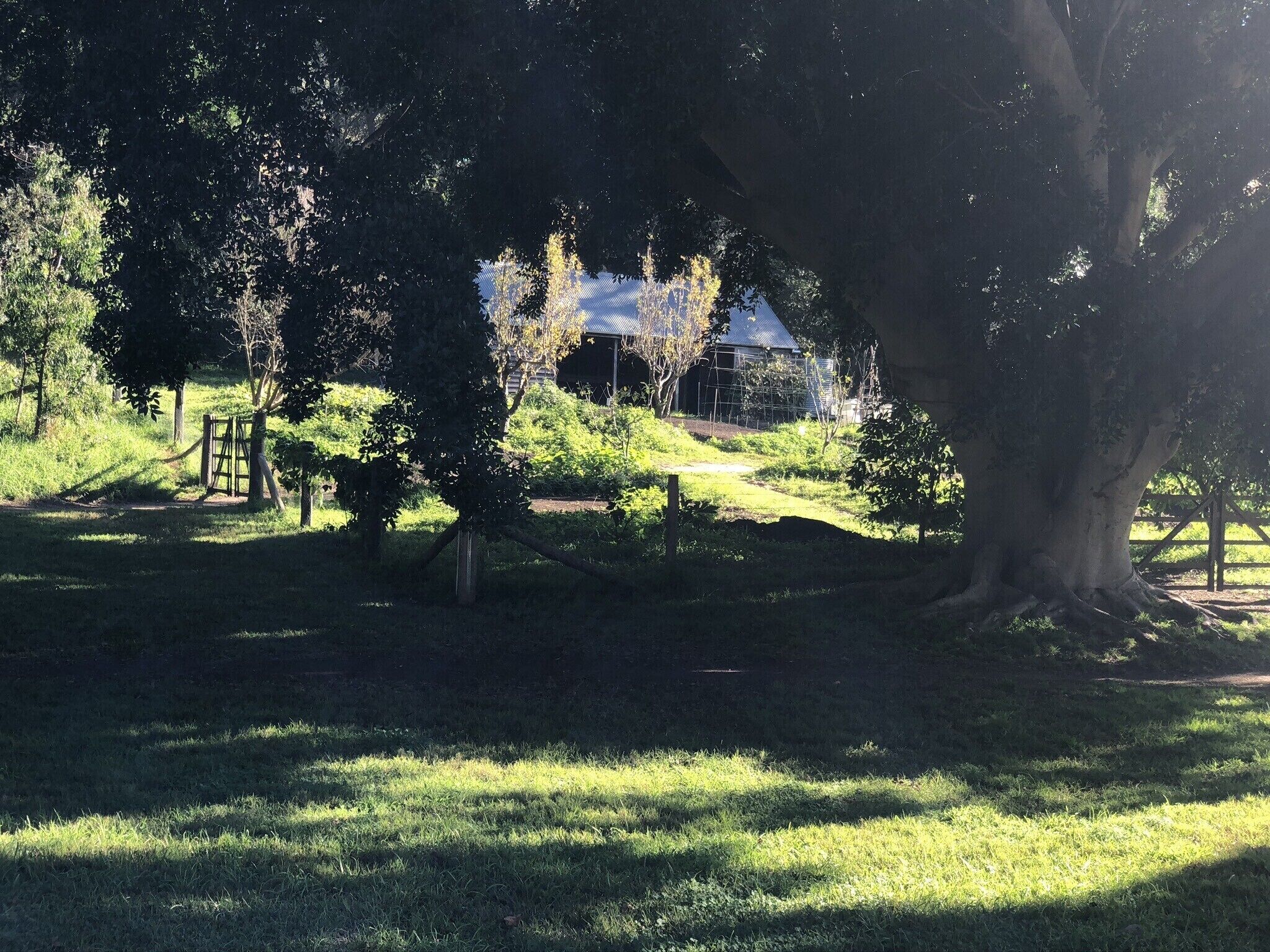 Picturesque apartment by the beach in Parsley Bay — image 23