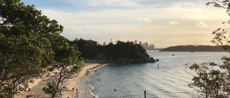 Nära stranden