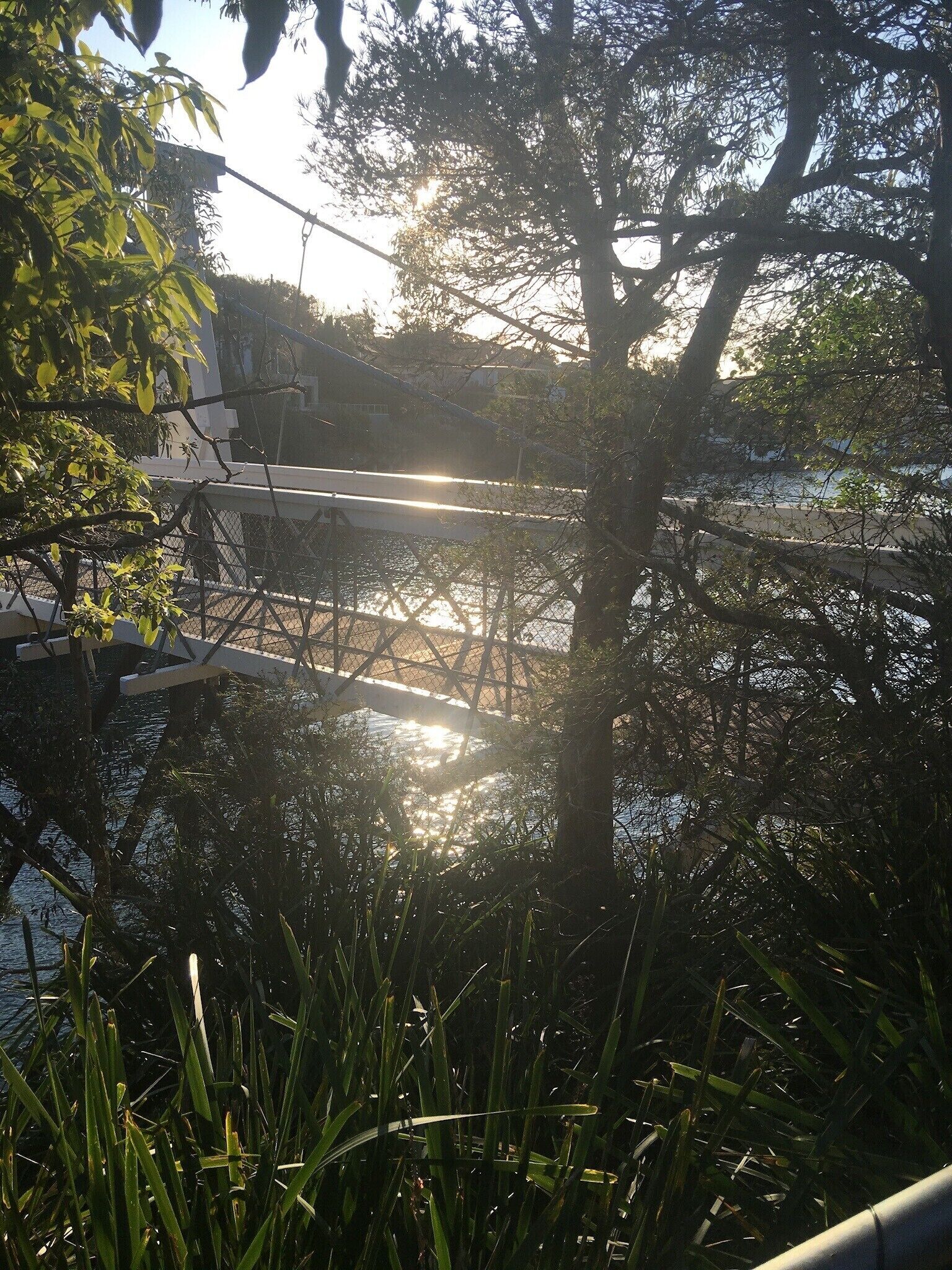 Picturesque apartment by the beach in Parsley Bay — image 18