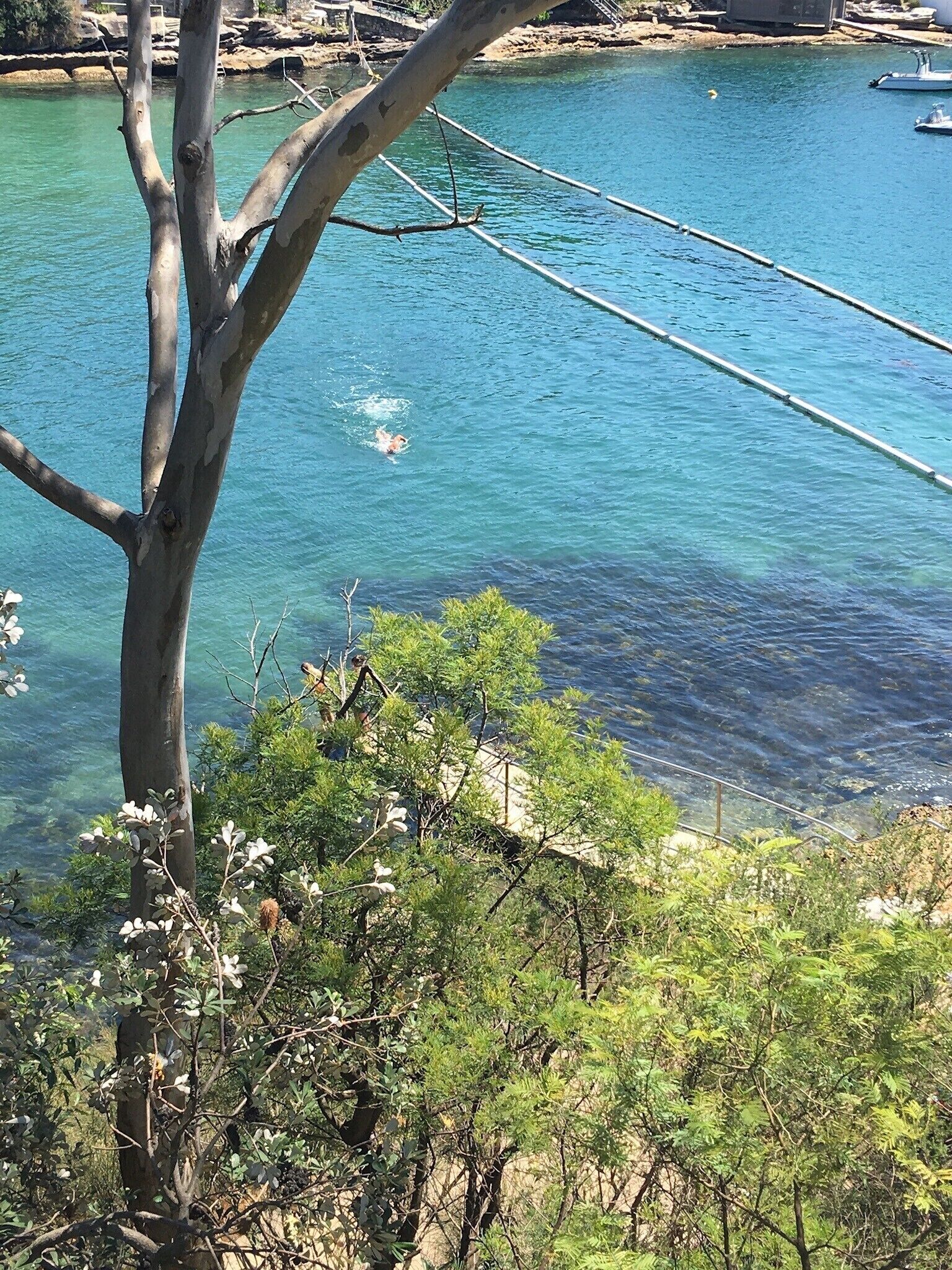 Picturesque apartment by the beach in Parsley Bay — image 6