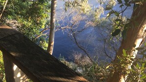 A wooden deck overlooking a lake with trees and foliage in the background.