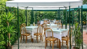 An outdoor dining area with tables and chairs under a white canopy, surrounded by greenery. - Stunning apartment in Orbetello (Orbetello)