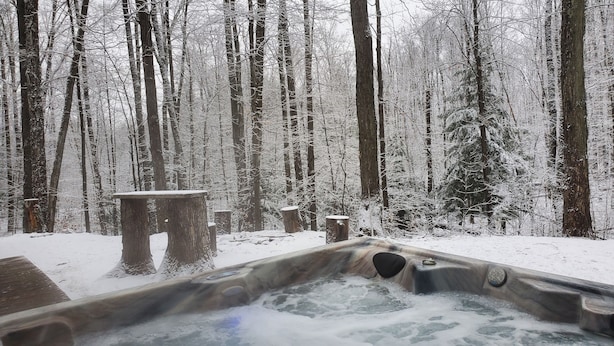 A hot tub in a snowy forest setting. - Pet friendly, hot tub, cabin (Luther)