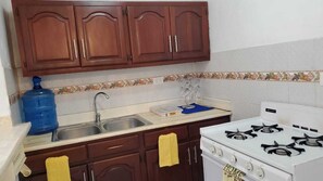 Fridge, microwave, oven, stovetop - Nice Comfort Apart,strong wifi,Cable, Air/C. transportation,great comercial area (Santiago)