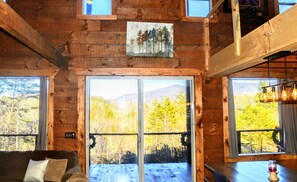 TV, fireplace, books - SkyView Smoky Mountain Lodge Near Gatlinburg and Pigeon Forge Tennessee  (Cosby)