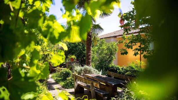 Un jardín con un banco de madera, diversas plantas y un edificio de techo a la española.