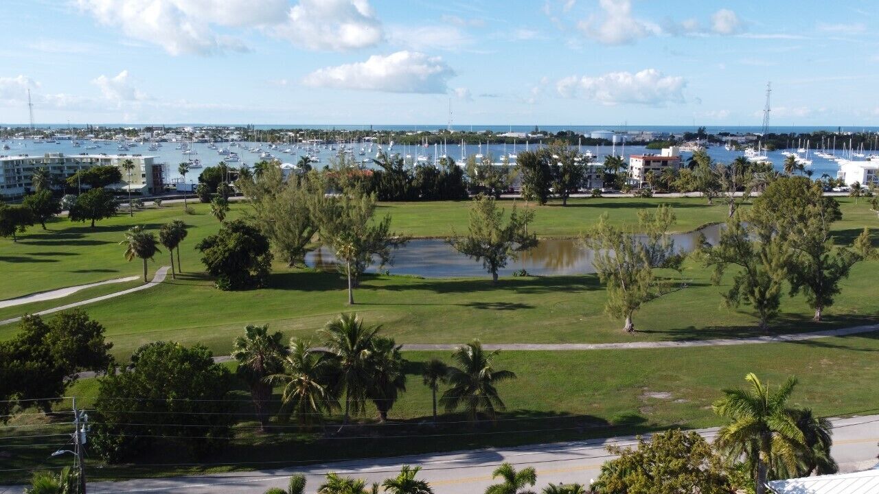 A marina with boats, a golf course with palm trees, and buildings in the background.