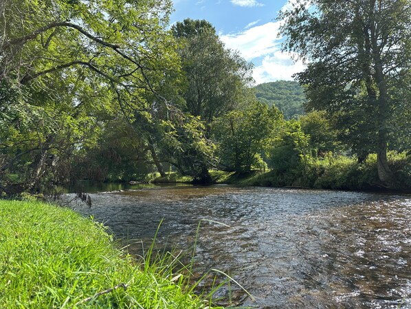 A river surrounded by lush greenery and trees. - Riverfront cabin located in the N.E. Georgia Mountains minutes from Lake Chatuge (Hiawassee)