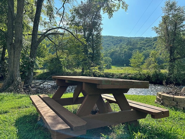 Une table de pique-nique installée dans un cadre naturel, avec une rivière et une forêt en arrière-plan.