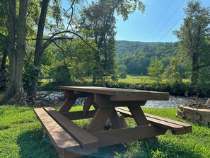 A picnic table in a natural setting with a river and forest in the background. - Riverfront cabin located in the N.E. Georgia Mountains minutes from Lake Chatuge (Hiawassee)