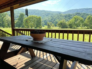 Une terrasse en bois avec une table et un bol rempli de pommes de pin, donnant sur un paysage boisé.
