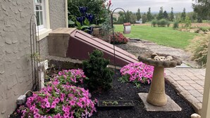 A garden with a bird feeder, a small tree, and pink flowers.