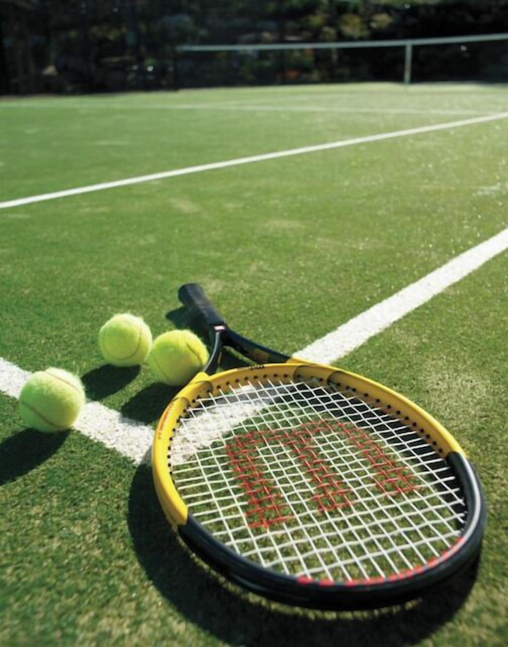 Sports court