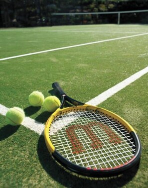Sports court - Private Bush Retreat  (Kulnura)